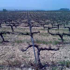 090806-Spain-Pix.050